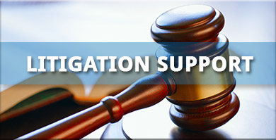 Litigation Support with a Gavel